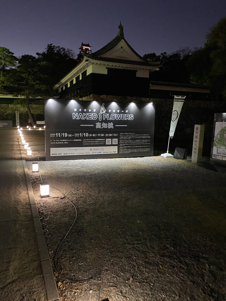 夜にライトアップされた高知城