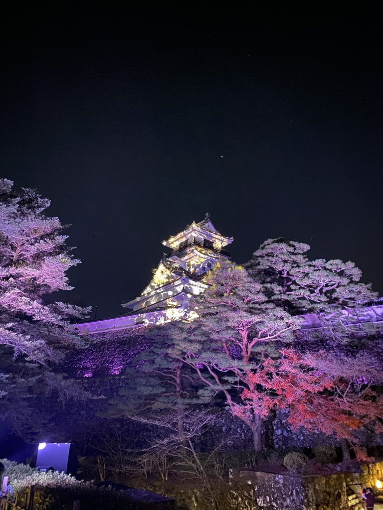光の演出が行われている夜の高知城
