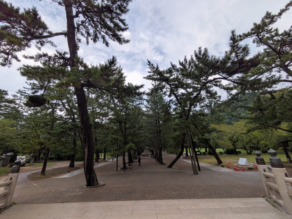 朝の出雲大社の参道と境内