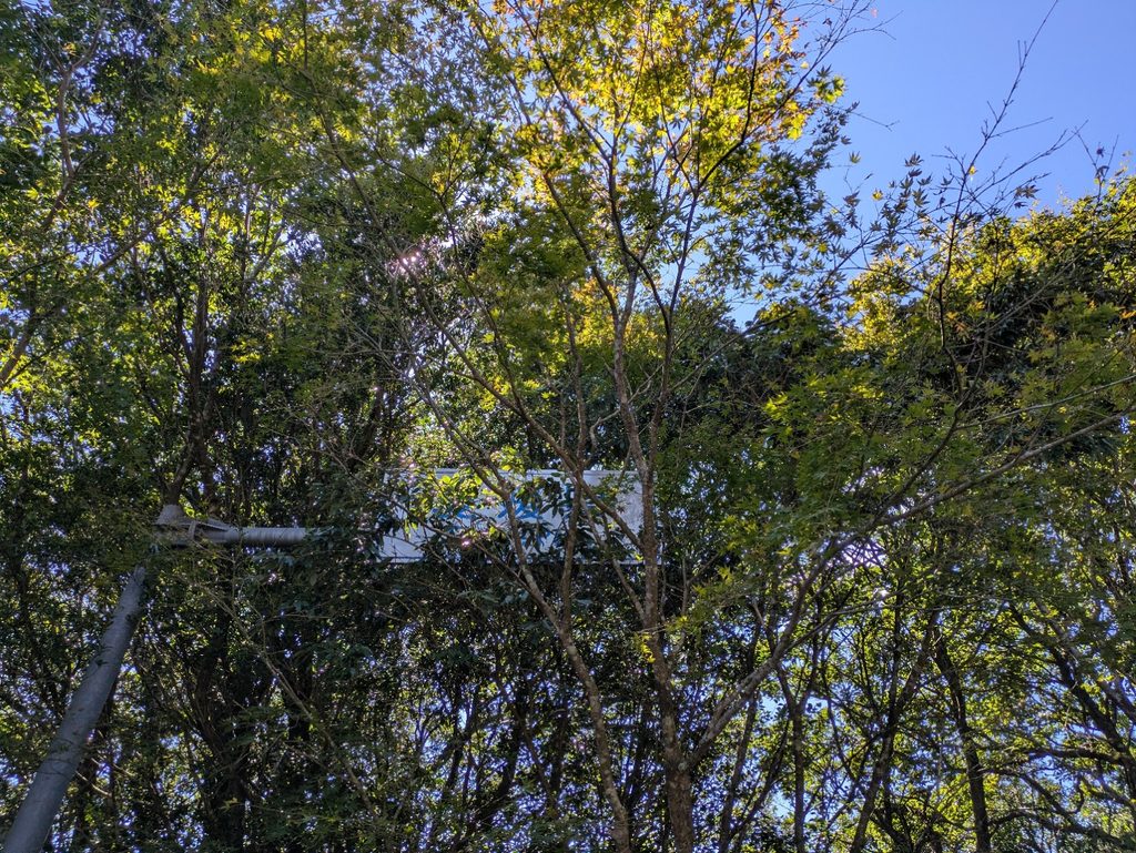 木々に埋もれた県境の看板
