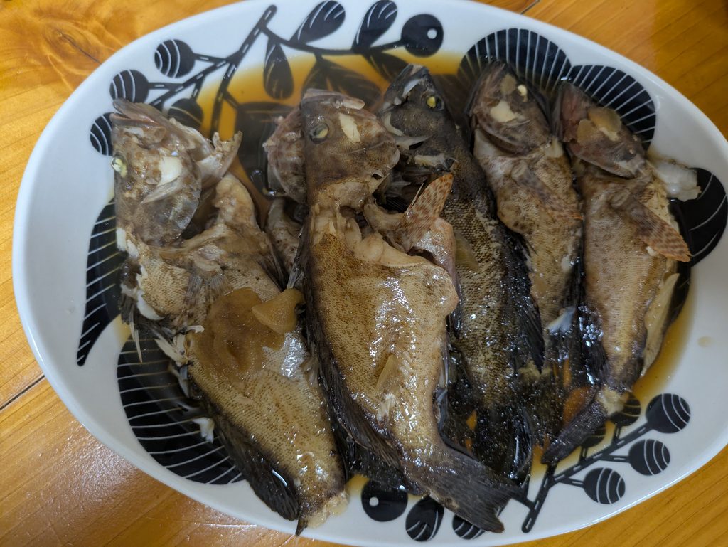 釣ったハタを煮付けにして皿に盛り付けた料理